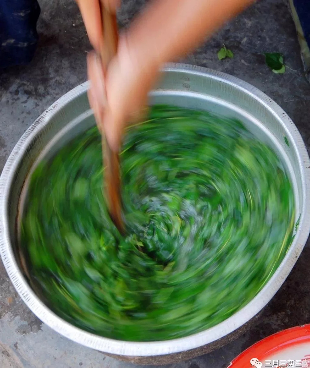 斑鸠叶豆腐的做法