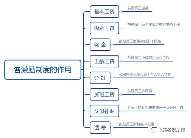 海底捞人员组织结构图图片