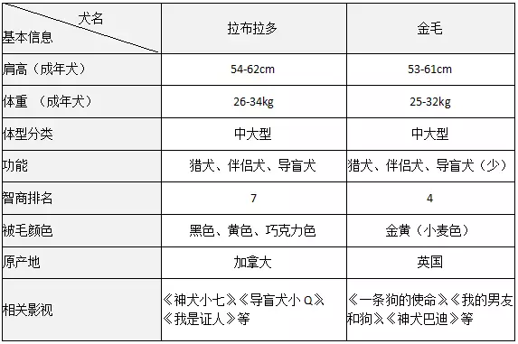 拉布拉多犬食量标准表图片