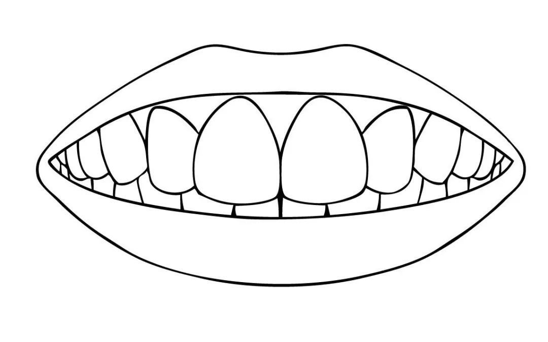 teeth简笔画图片