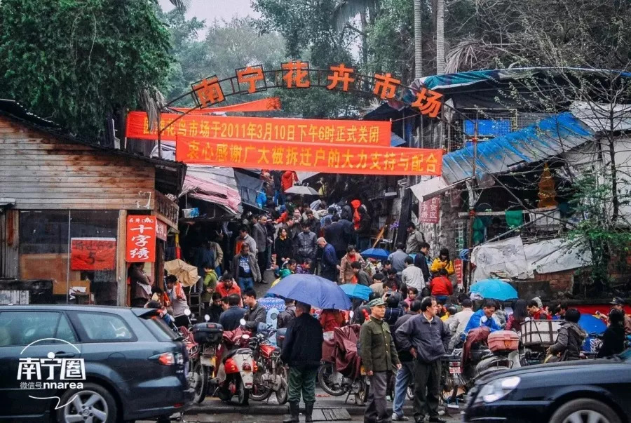 南宁园湖花鸟市场图片