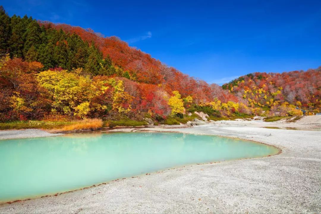 深度丨比東京好玩,美麗,又小眾的日本東北,夏季超涼爽!