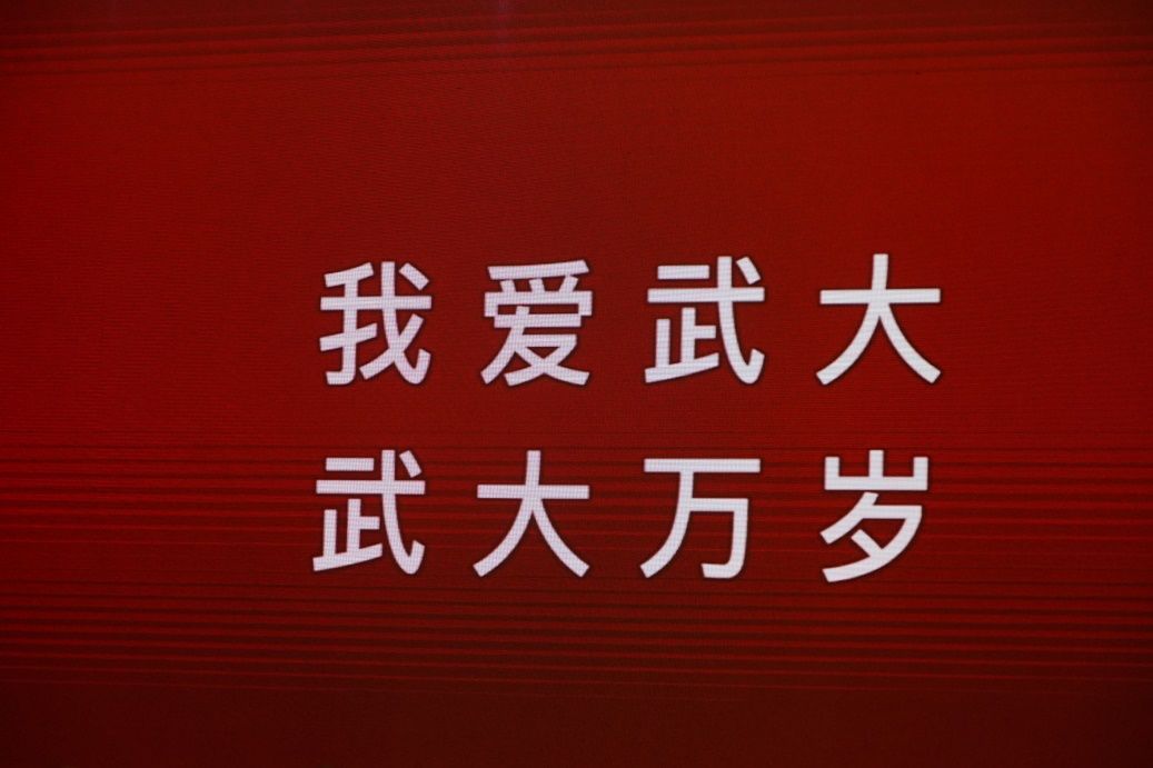 在热烈的掌声中,武汉大学副校长周叶中上台介绍了杰出校友相关情况,并