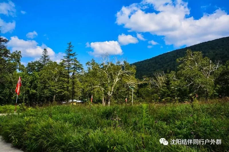 旅遊雙重功能,我省只在大小興安嶺深處分佈著少數幾塊,在我市尚屬首次