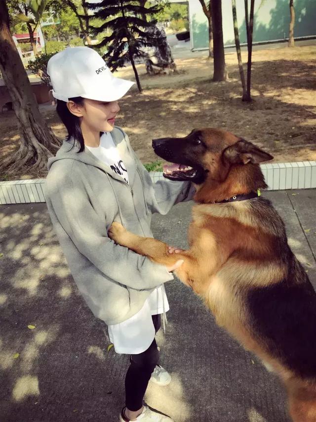 ▼《 奇兵神犬》中的警犬艾勒薇斯▼在印度尼西亞遇到的狗狗▼張馨予