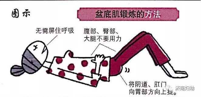 一學就會的產後盆底康復操