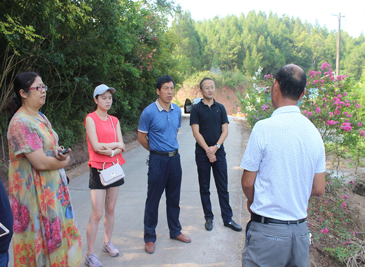 西充县高端网站建设_(西充县高端网站建设项目招标)