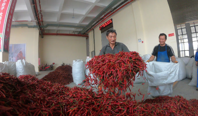 虾子辣椒市场图片