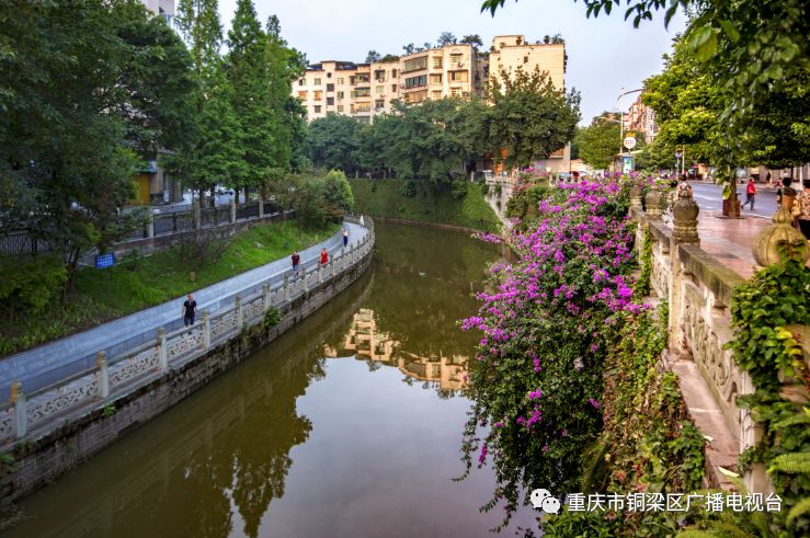 铜梁老巴川图片