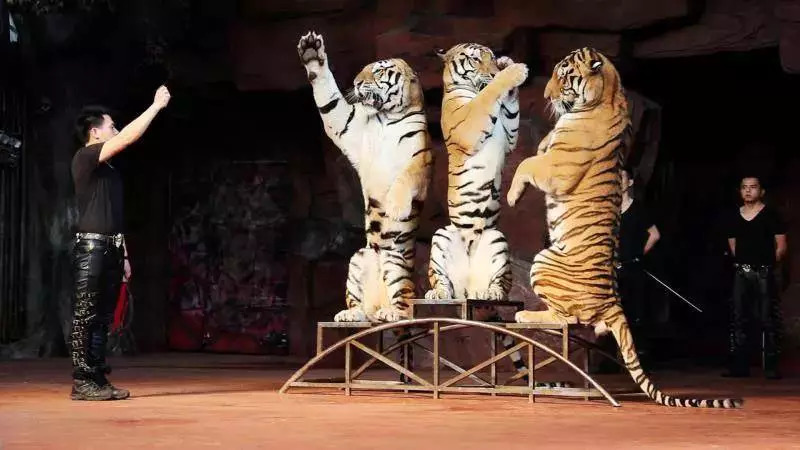 順德長鹿農莊溫泉動物園地球村表演一天遊