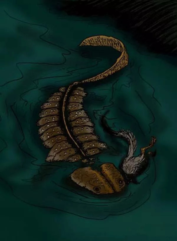 霸王蝾螈最大图片