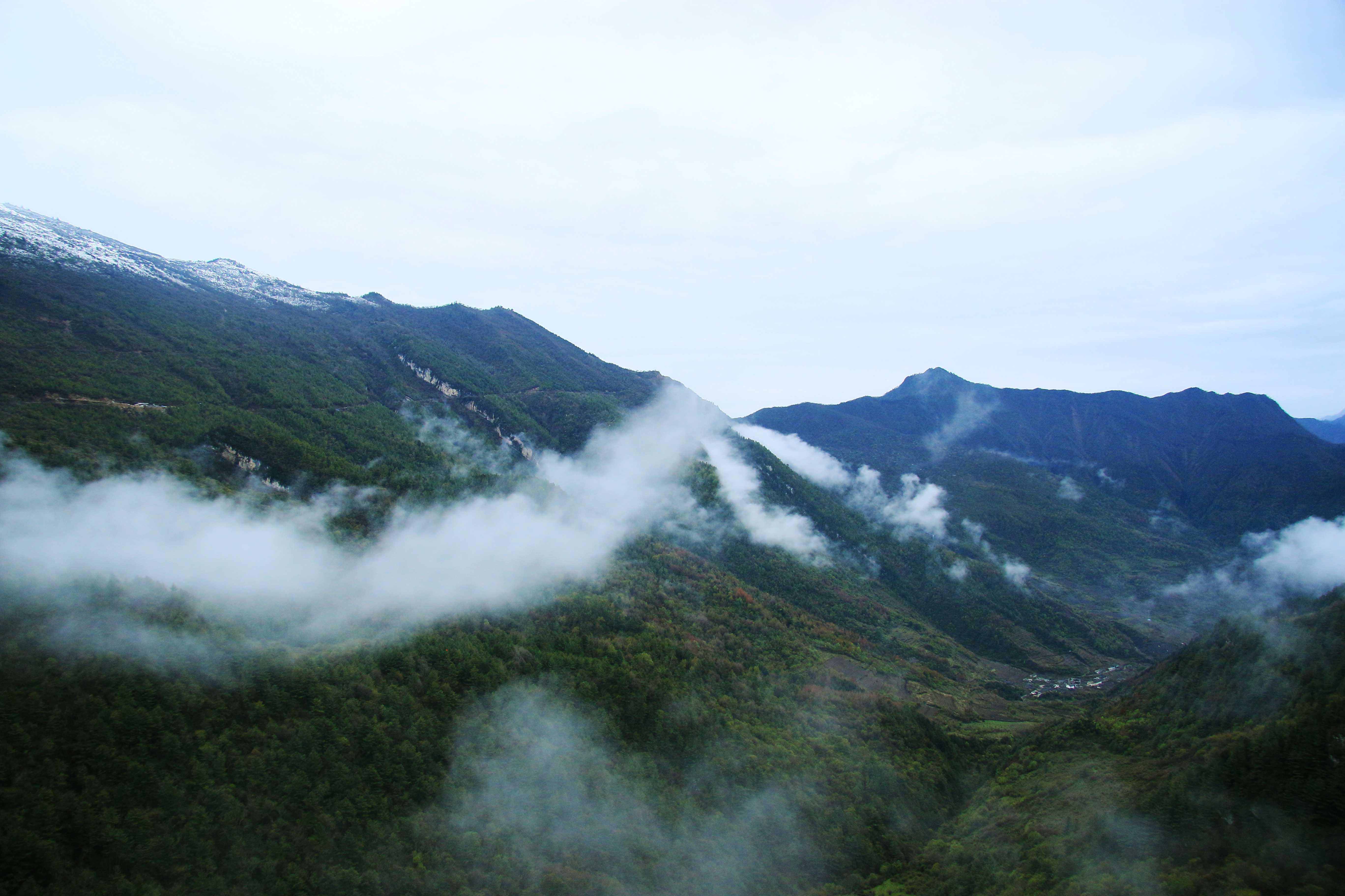 深冬,初春,盛夏,三次造訪牛背山-四人同,四季中的歲月流轉_山頂