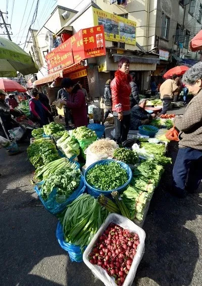 記者昨從滬上部分批發市場,零售菜市瞭解到,儘管山東壽光作為滬上蔬菜