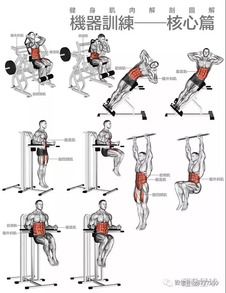 如何用各種器械練肌肉的詳細圖解