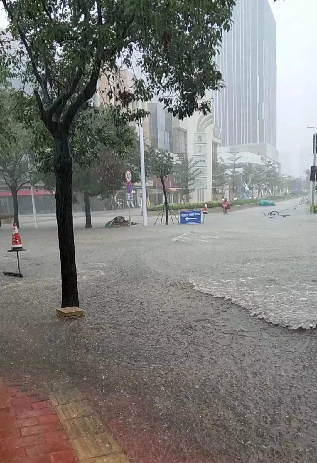 珠海这几天的雨下得比娴妃黑化那天还大,未来几天还要带伞吗?