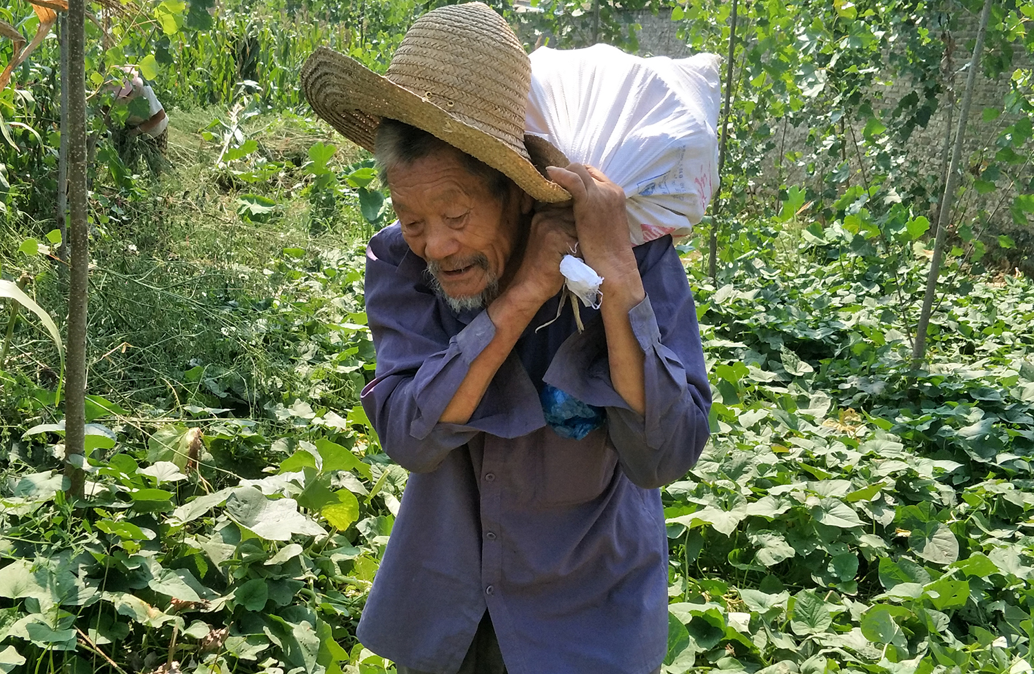 和80岁的牛女士家住北渡镇农村,儿女们都在外边打工,是典型的留守老人