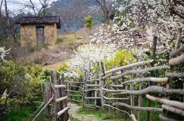 故天將降大任於是人也,必先苦其心志,勞其筋骨,餓其體膚,空乏其身,行