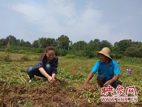 确山县瓦岗镇张莉图片