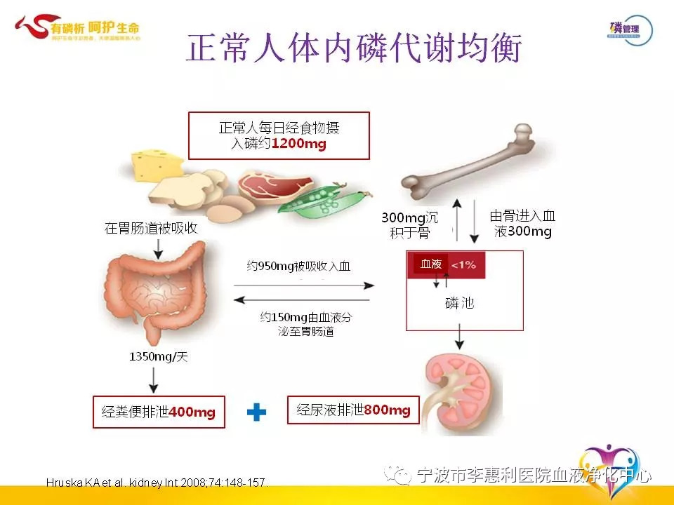 高磷血症的饮食管理