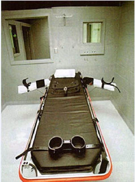 注射死刑全过程录像图片