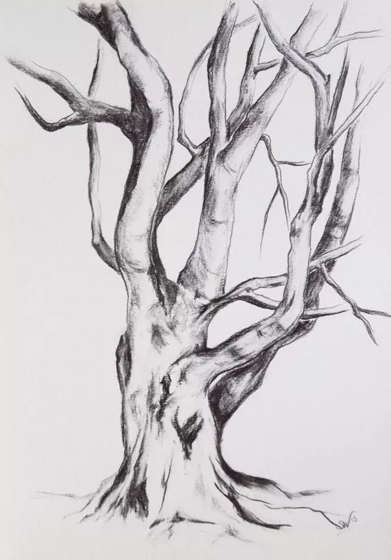 素描树林的简单画法图片