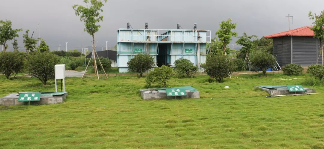 溪東汙水處理廠尾水澆出人工溼地公園