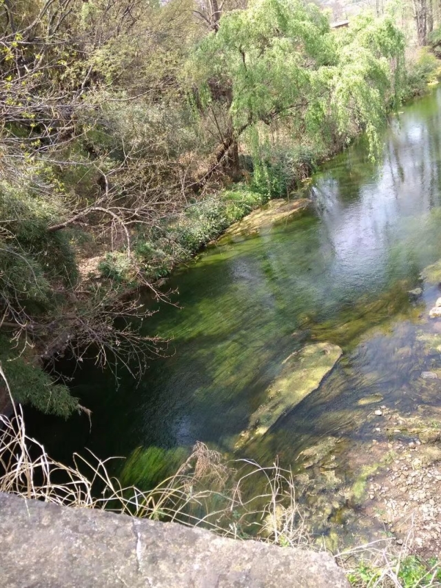 小河淌水,清澈見底