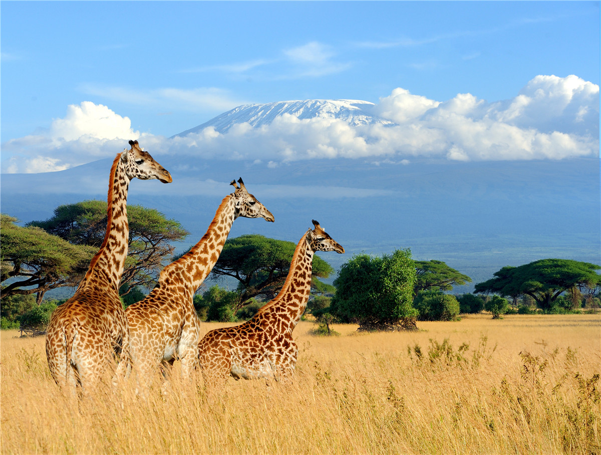 肯尼亚著名景点有哪些图片