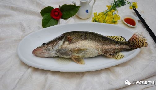 安丰塘特色鱼图片