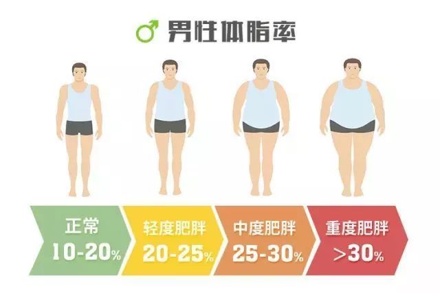 体脂率10%男生图片图片