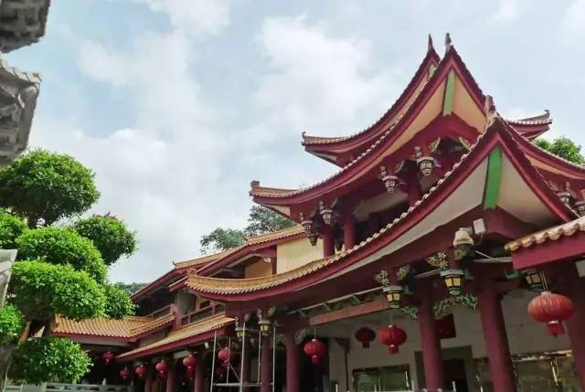 厦门姜母鸭 厦门vs英国 厦门夜景 伦敦眼 白鹭洲 日本瑞龙寺▼