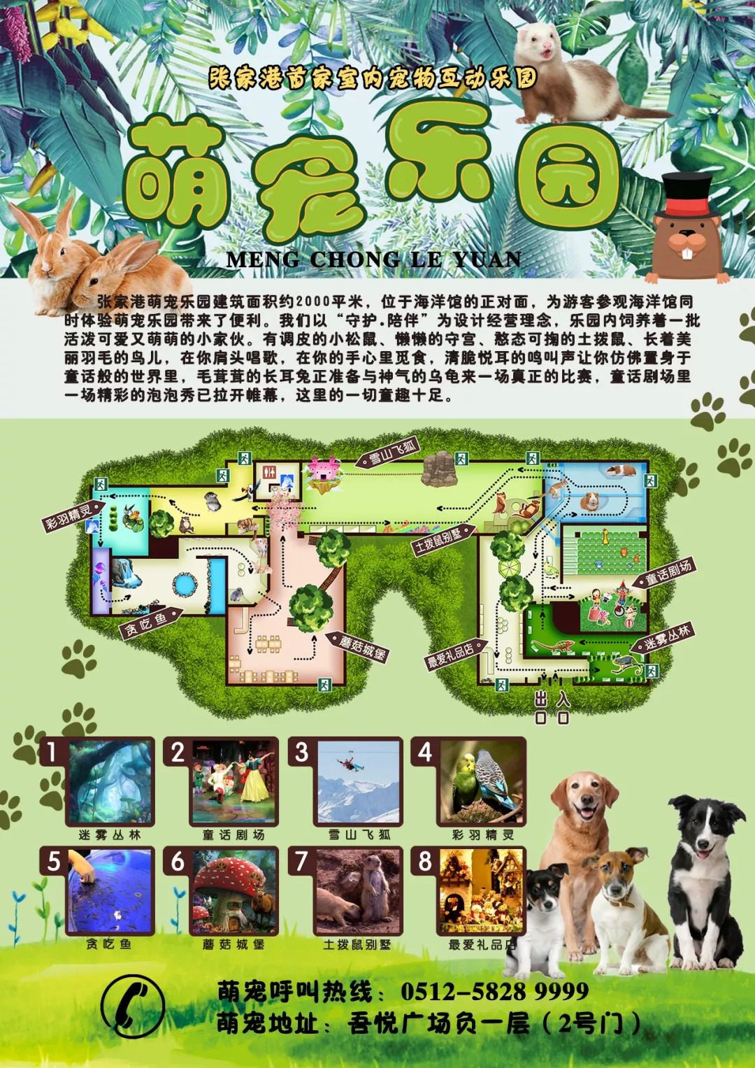 宠物游乐场规划方案图片
