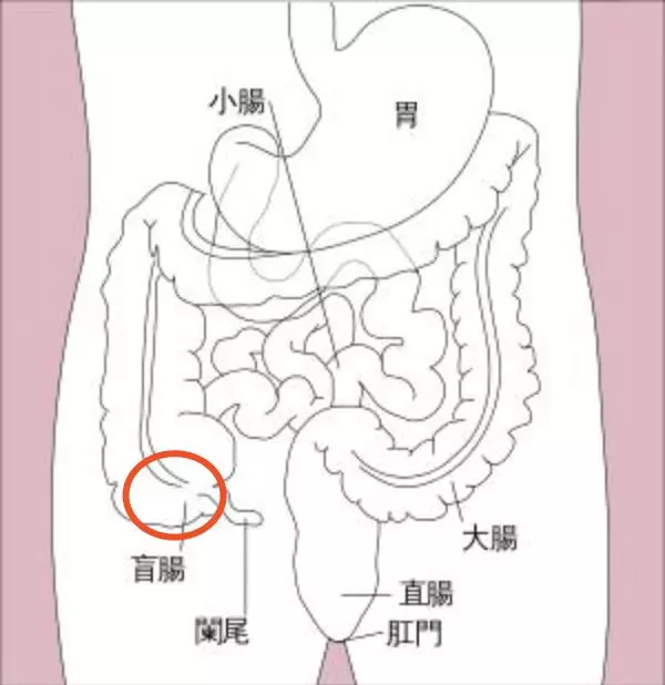 结肠炎疼痛位置图片