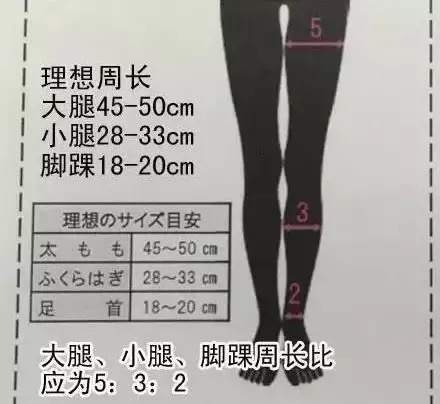 美腿腿围标准对照表图片