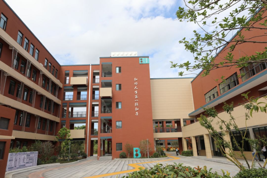 堇山小学南校区扩建图片