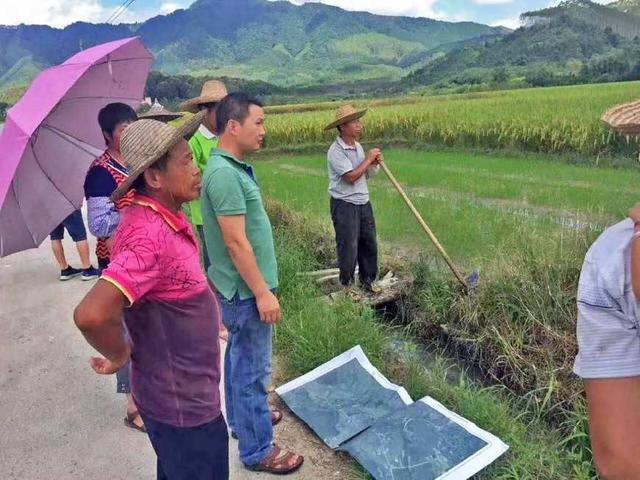 農村土地確權的相關規定,如果土地在權屬,邊界,位置等方面存在著糾紛