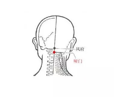 哑门穴—散风熄风,开窍醒神