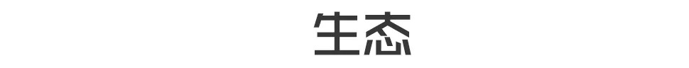 园林工程施工绝活？铺装能有啥绝活？