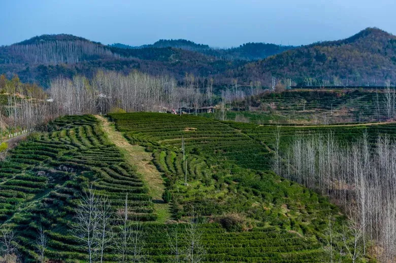 720 航拍广水 王志祥 摄影编钟乐舞 黄炎摄影大洪山剑口飞跃 徐斌