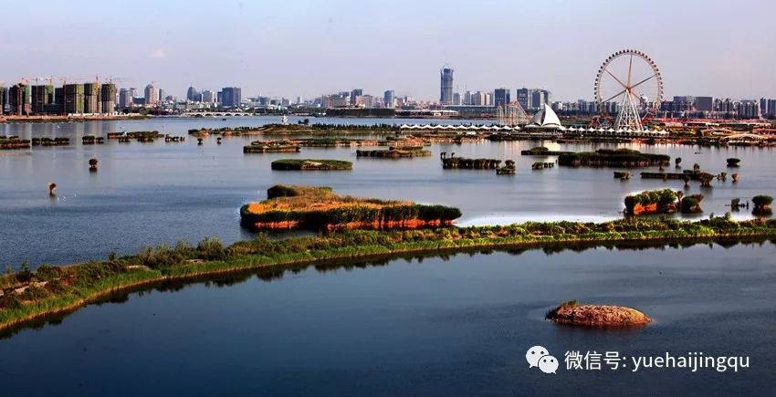 寧夏閱海國家溼地公園閱海漁村項目招商公告