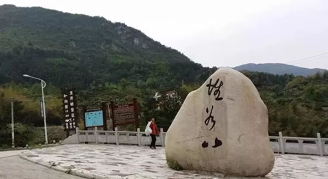 霍山黄芽 霍山县堆谷山村 堆谷山村位于霍山县东南边陲 磨子潭镇境内