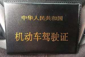 小型专用客车驾照图片