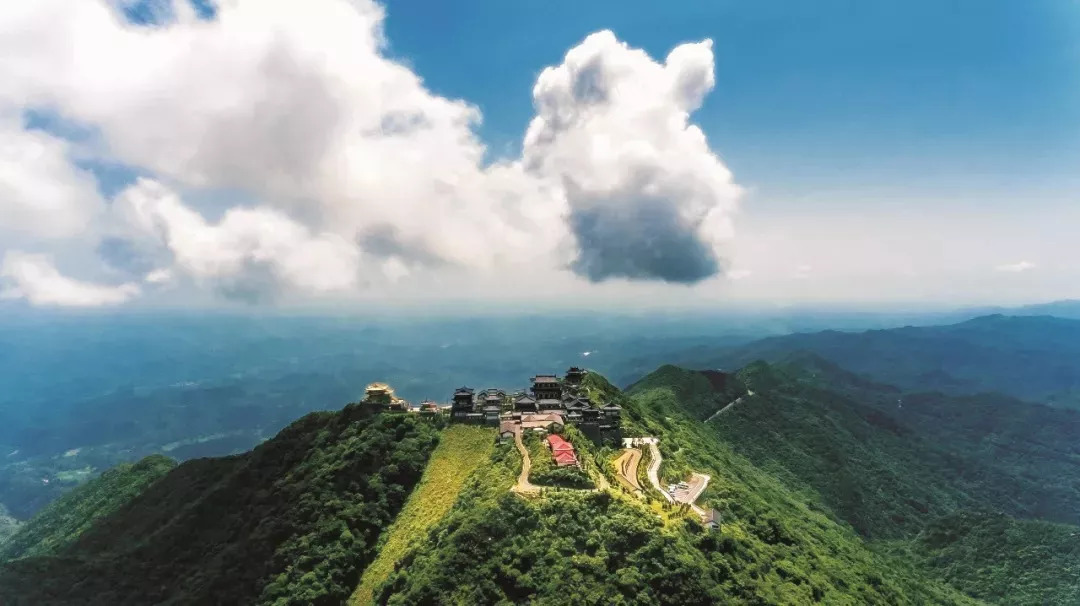 桃花 高建新 摄影随州大洪山樱花 樊友刚 摄影随州千年银杏谷 雷昕山