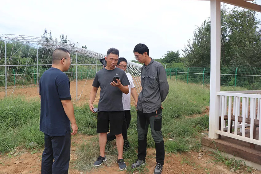 两位农学专业老师来到大山后村指导产业项目,街道办事处副主任郝培智