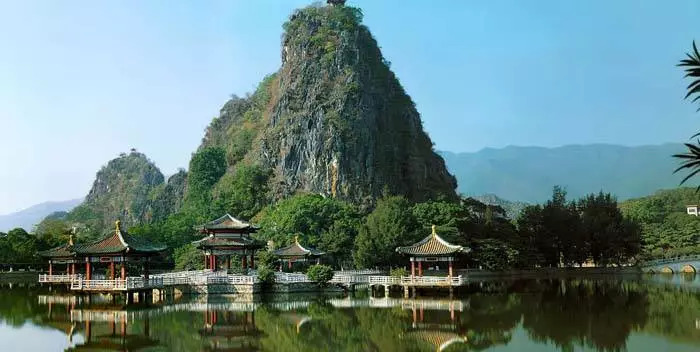 广东贞山鳄鱼饮品图片