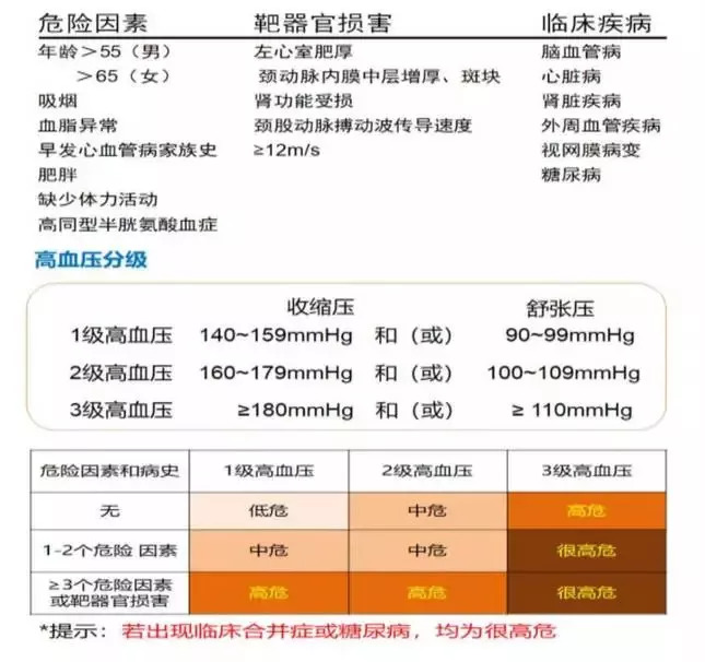 高血压分组危险因素图片