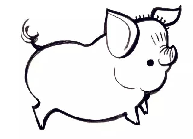 十二生肖猪的画法图片
