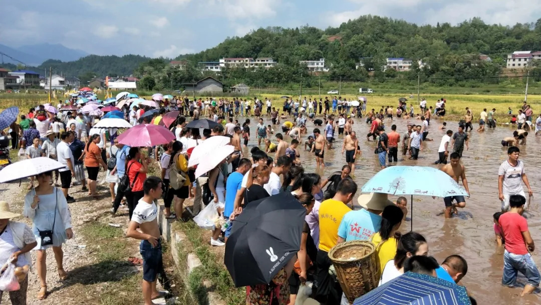 民族英雄文化,弘扬尊师重教的优良传统为宗旨,传讲陈家坪村的历史故事