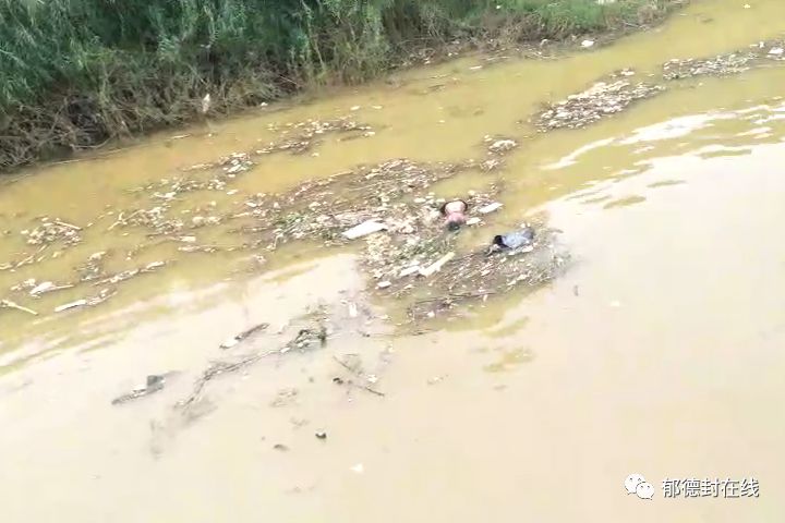 湘江浮尸案图片