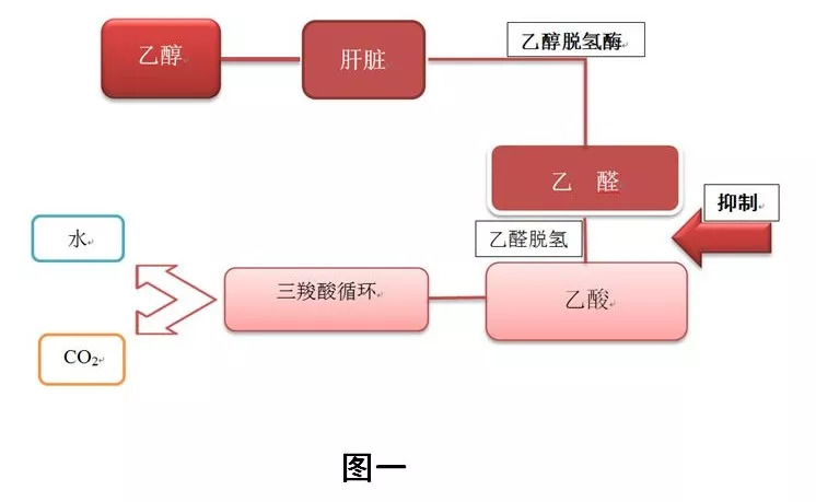 双硫仑样反应之酒药要分家